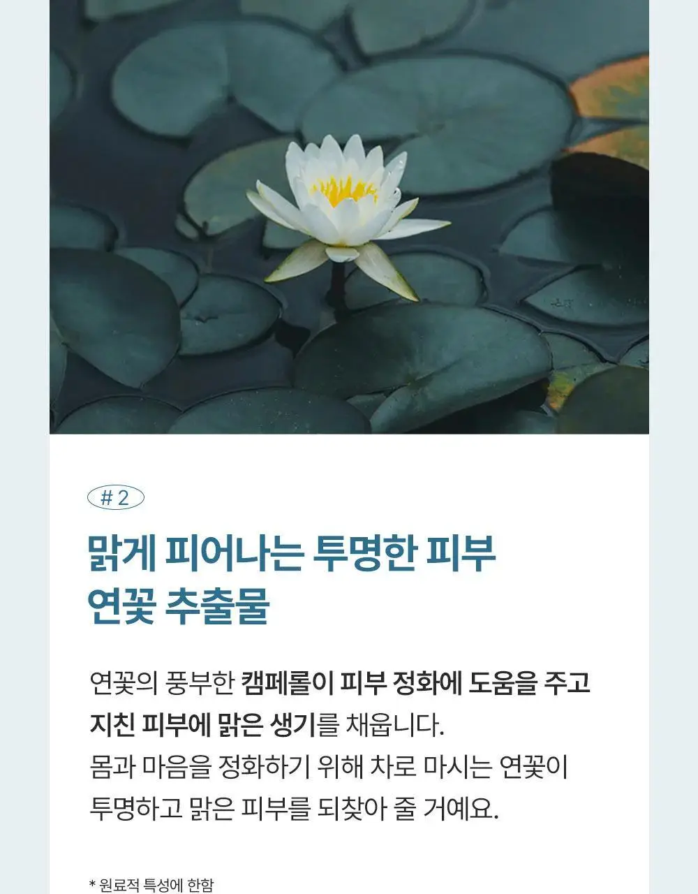에필로우 시트 마스크 10매 [결가드닝/속건조 다도/진정 마음챙김] 3종 중 택1 상세페이지 14
